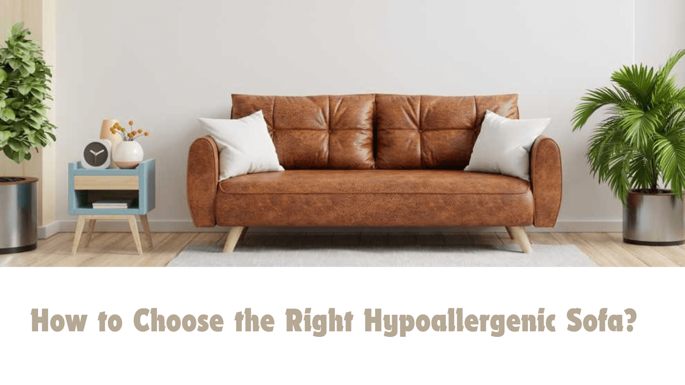 How to Choose the Right Hypoallergenic Sofa?