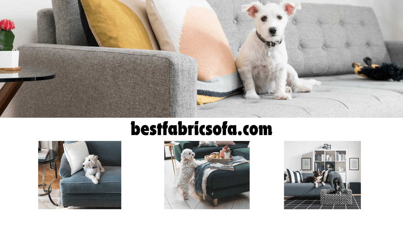 Pet-Friendly Sofa Fabrics